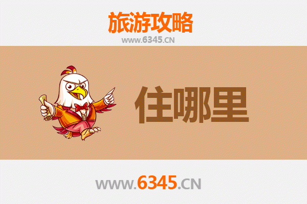 邢台临西旅游民宿全攻略：古韵新风，舒适下榻之选